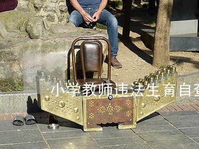 小学教师违法生育自查报告 小学教师违法生育自查报告