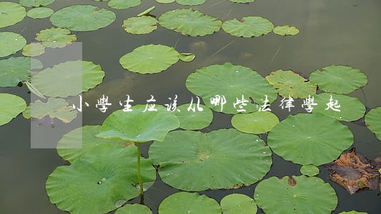 小学生应该从哪些法律学起 小学生应该从哪些法律学起