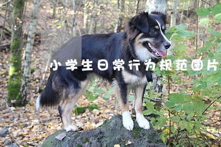 小学生日常行为规范图片素材 小学生日常行为规范图片素材