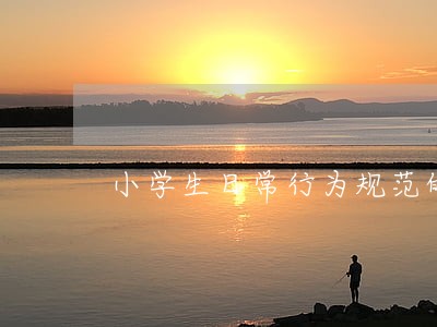 小学生日常行为规范的反思与进展 小学生日常行为规范的反思与进展