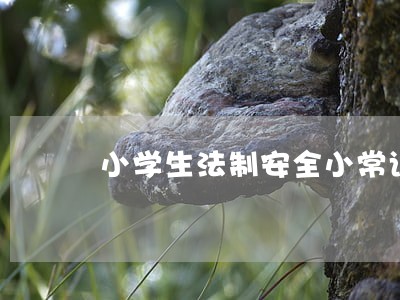 小学生法制安全小常识 小学生法制安全小常识