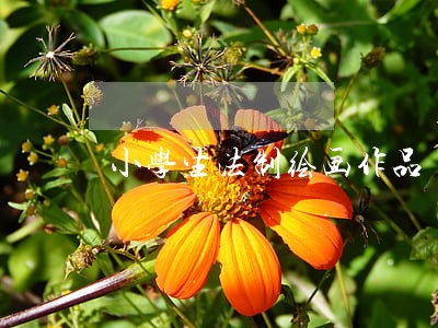 小学生法制绘画作品