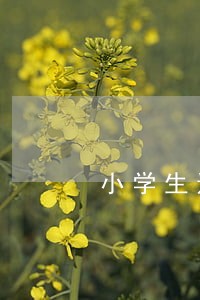 小学生违法没是犯法也不会被处理 小学生违法没是犯法也不会被处理