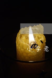 小学老师信用卡逾期 小学老师信用卡逾期