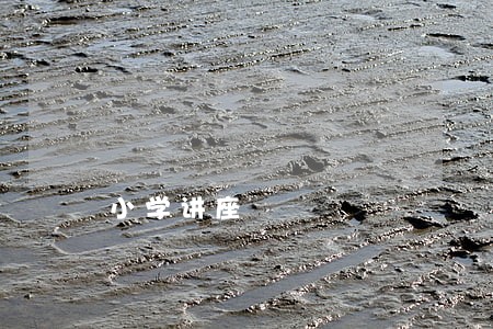 小学讲座 小学讲座