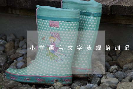 小学语言文字法规培训记录 小学语言文字法规培训记录