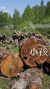 小孩上学离婚后可以变成一类吗 小孩上学离婚后可以变成一类吗