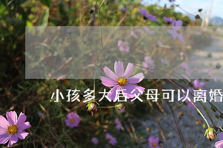 小孩多大后父母可以离婚 小孩多大后父母可以离婚