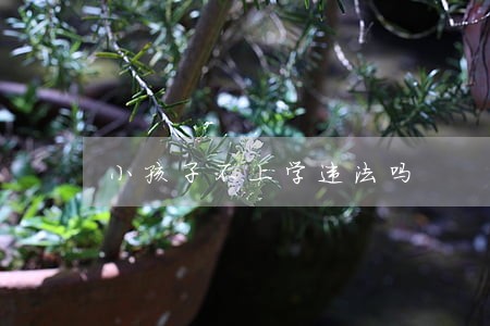 小孩子不上学违法吗