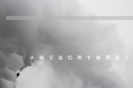 小孩父亲信用卡逾期能上学吗 小孩父亲信用卡逾期能上学吗