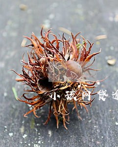 小孩网贷逾期了怎么办 小孩网贷逾期了怎么办