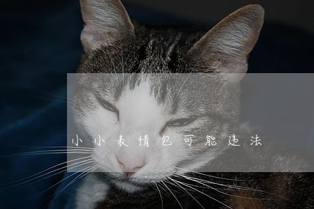 小小表情包可能违法 小小表情包可能违法