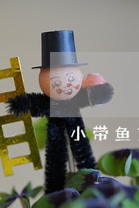 小带鱼贷款逾期怎么办 小带鱼贷款逾期怎么办