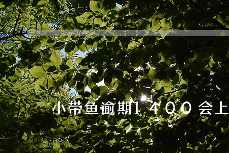 小带鱼逾期1400会上门吗