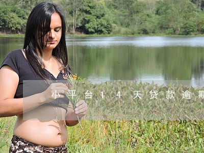 小平台14天贷款逾期2天 小平台14天贷款逾期2天