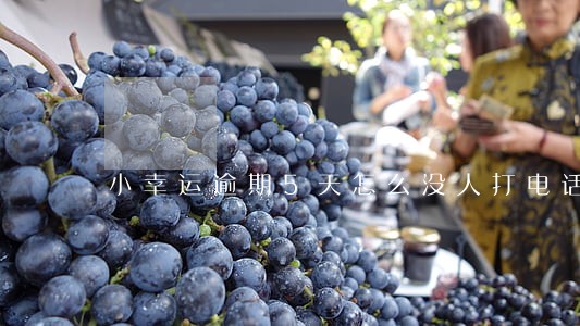 小幸运逾期5天怎么没人打电话 小幸运逾期5天怎么没人打电话