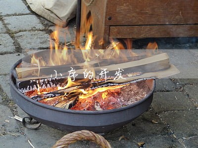 小序的开发