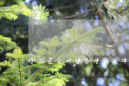 小店区会计债务债权案律师 小店区会计债务债权案律师