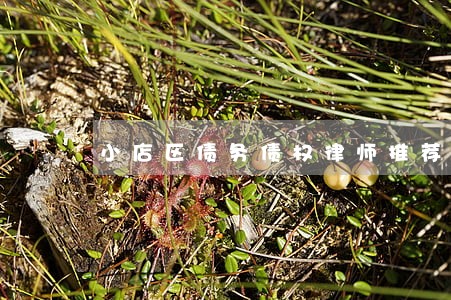小店区债务债权律师推荐咨询 小店区债务债权律师推荐咨询