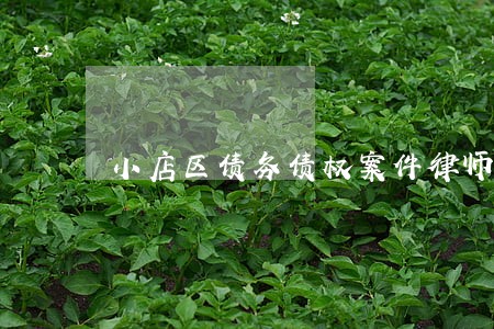 小店区债务债权案件律师信息中心 小店区债务债权案件律师信息中心