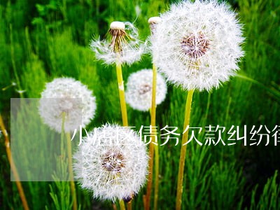 小店区债务欠款纠纷律师 小店区债务欠款纠纷律师