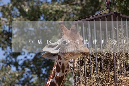 小店区债务清偿律师费用是多少 小店区债务清偿律师费用是多少