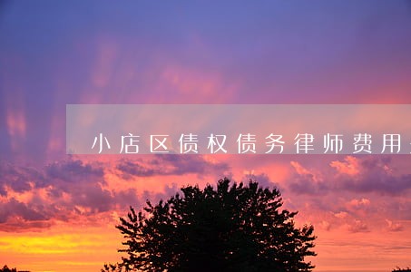 小店区债权债务律师费用是多少 小店区债权债务律师费用是多少