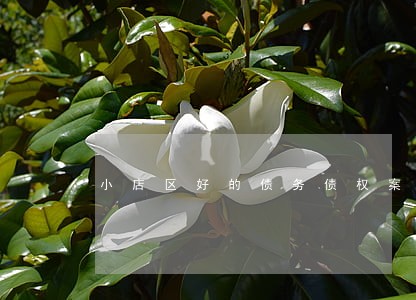 小店区好的债务债权案律师咨询费 小店区好的债务债权案律师咨询费
