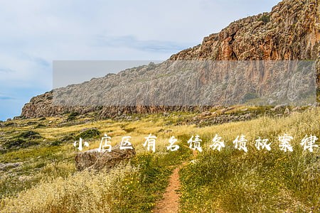 小店区有名债务债权案律师 小店区有名债务债权案律师
