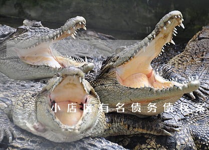 小店区有名债务债权案律师事务所 小店区有名债务债权案律师事务所