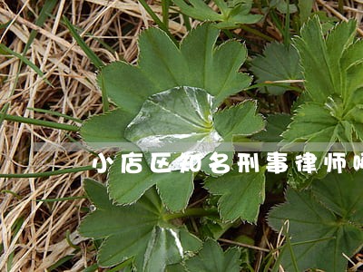小店区知名刑事律师哪家好 小店区知名刑事律师哪家好
