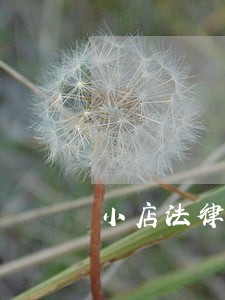 小店法律援助中心地址 小店法律援助中心地址