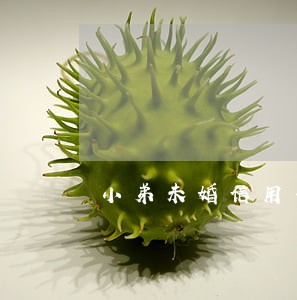 小弟未婚信用卡逾期没任何资产