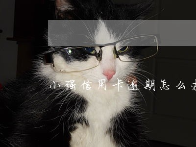 小强信用卡逾期怎么办 小强信用卡逾期怎么办
