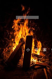 小当家借款逾期一天扣50
