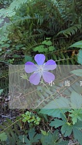 小当家贷款逾期一天 小当家贷款逾期一天