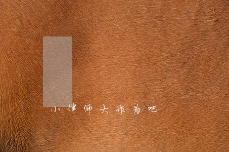 小律师大作为吧 小律师大作为吧