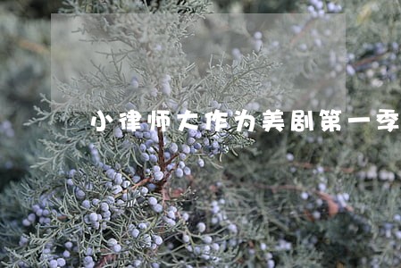 小律师大作为美剧第一季10下载 小律师大作为美剧第一季10下载