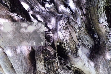 小律师释法 小律师释法