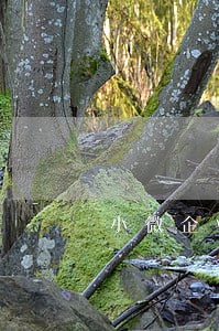 小微企业信用卡逾期 小微企业信用卡逾期