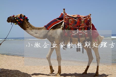 小微企业贷款逾期处理方案 小微企业贷款逾期处理方案