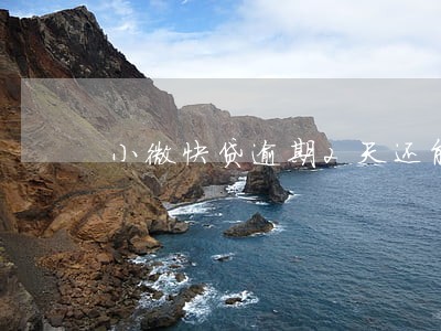小微快贷逾期2天还能借吗 小微快贷逾期2天还能借吗