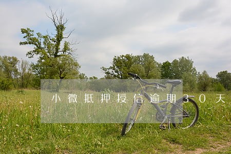 小微抵押授信逾期30天 小微抵押授信逾期30天