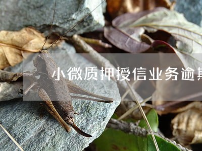小微质押授信业务逾期超过30天 小微质押授信业务逾期超过30天