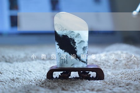 小微贷款逾期多少天进入不良