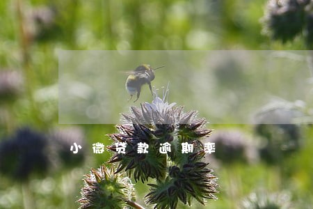 小微贷款逾期率 小微贷款逾期率