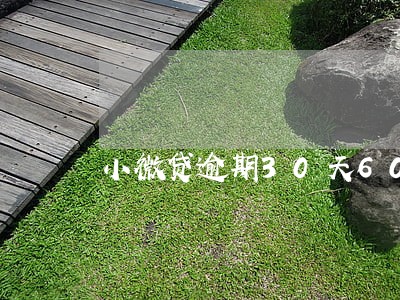 小微贷逾期30天60天怎么办 小微贷逾期30天60天怎么办