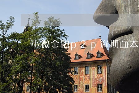 小微金融p2p逾期血本无归 小微金融p2p逾期血本无归