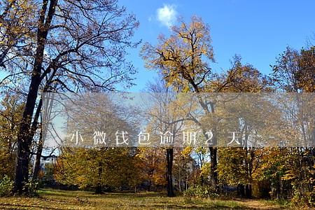 小微钱包逾期2天 小微钱包逾期2天