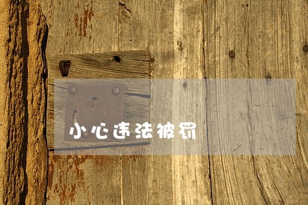 小心违法被罚 小心违法被罚